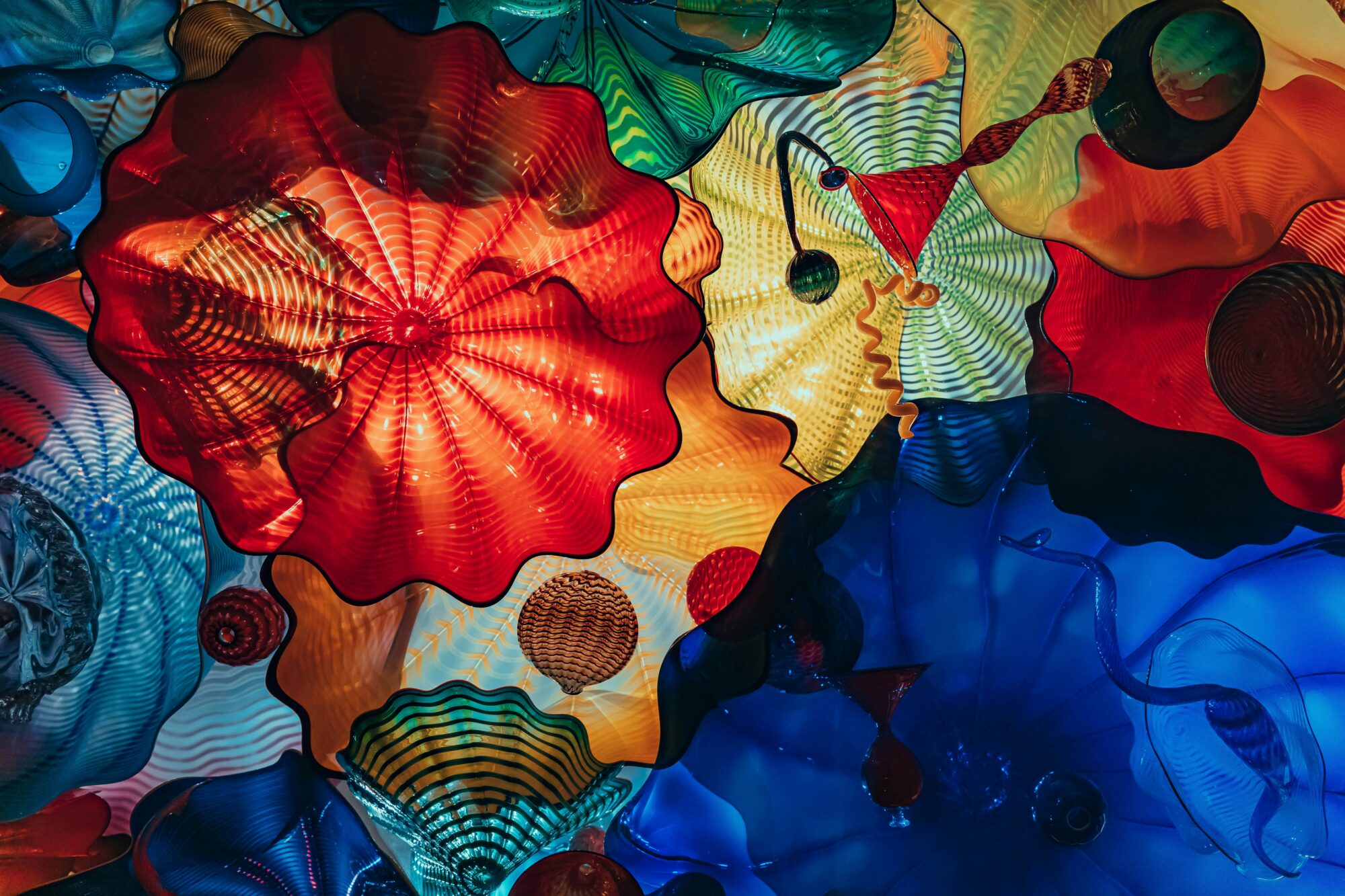 sunira-moses-sGsF5icjrUw-unsplash