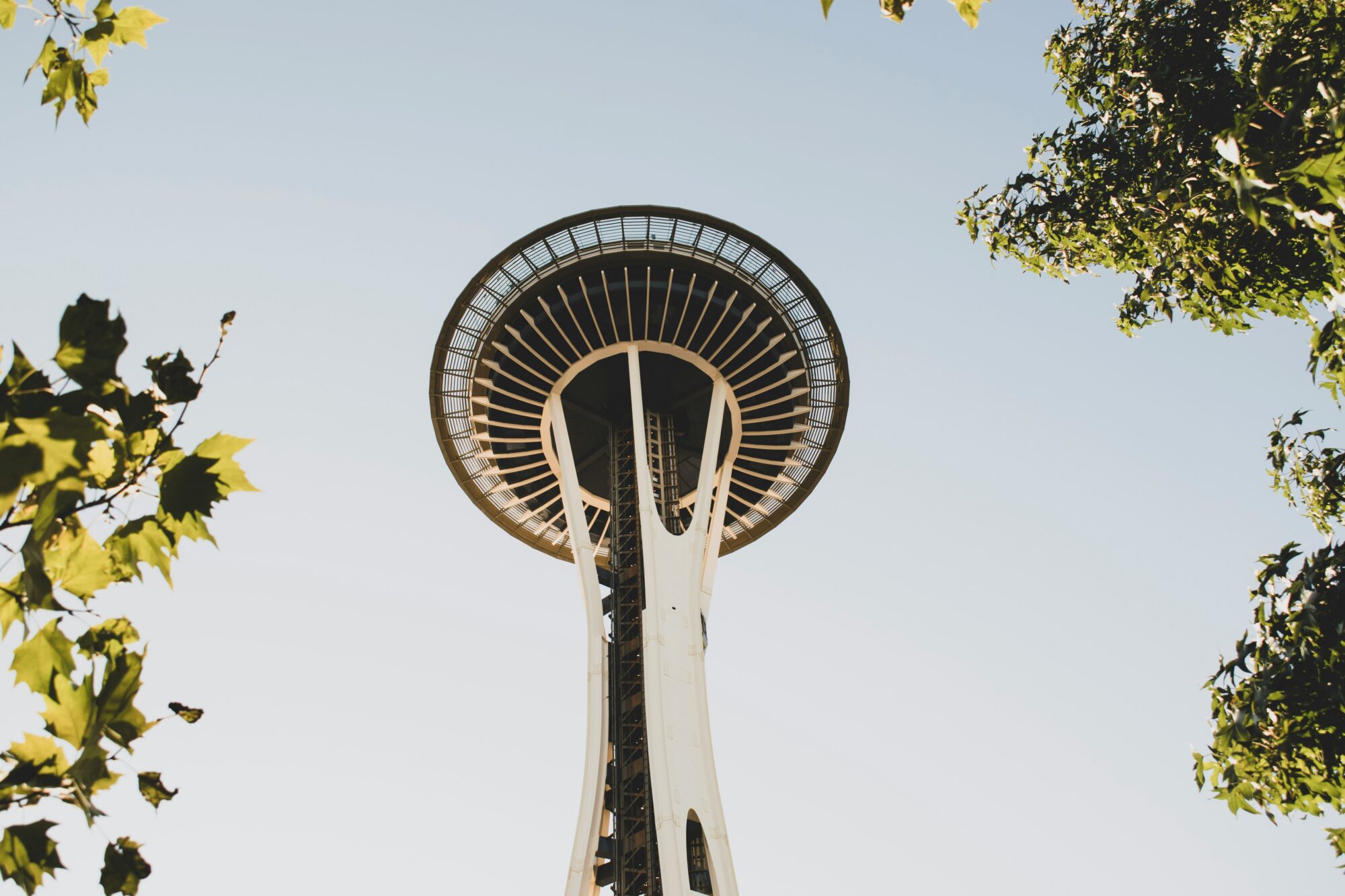 taylor-vick-OpC2Kq6Nmxk-unsplash